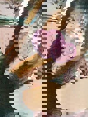 みやび