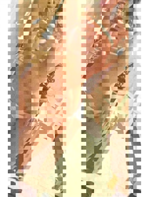 Array