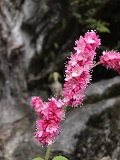 https://www.aromaesthe.co.jp/photo/lady/5005/gl.jpg