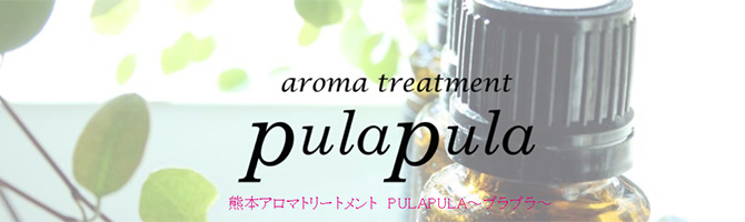 熊本のメンズアロマ、メンズエステのお店「PULAPULA-プラプラ-」｜九州･沖縄アロマエステ案内所