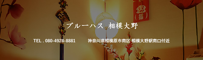 その他神奈川のメンズアロマ、メンズエステのお店「ブルーハス 相模大野」｜横浜アロマエステ案内所