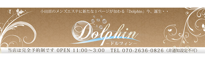 藤沢・湘南のメンズアロマ、メンズエステのお店「Dolphin -ドルフィン-」｜横浜アロマエステ案内所