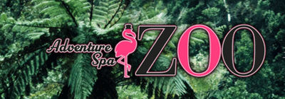 赤羽・王子・板橋のメンズアロマ、メンズエステのお店「王子メンズエステ ADVENTURE SPA ZOO 」