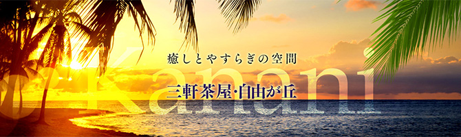 渋谷のメンズアロマ、メンズエステのお店「KANANI-カナニ-」｜東京アロマエステ案内所