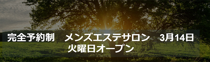 東京駅・銀座のメンズアロマ、メンズエステのお店「Virgo vega-ヴァーゴ ベガ-」｜東京アロマエステ案内所